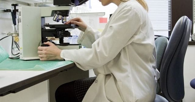 Ältere Person nutzt ein Tablet in einem modern eingerichteten Wohnzimmer mit Smart-Home-Technologie