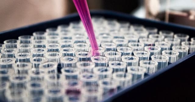 Forscherin analysiert Daten zu KI und sozialer Interaktion im Alter